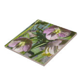 Hellebores Tile Tegeltje (Zijkant)