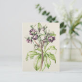 Helleborus Orientalis van Helen Ballard Briefkaart (Staand voorkant)