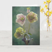 Helleboruskaart Kaart (Gele Bloem)