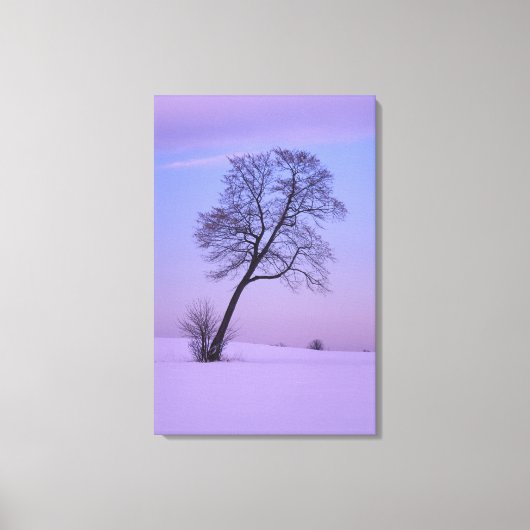 Hellende boom in besneeuwd veld; Chippewa County; Canvas Afdruk (Voorkant)