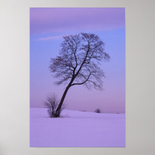 Hellende boom in besneeuwd veld; Chippewa County; Poster