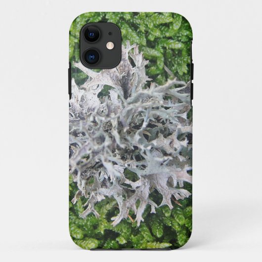 Hellgraue Flechte auf hübschem Moos Case-Mate iPhone Case (Achterkant)