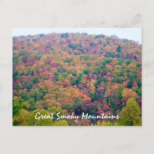 Helling in Kleur Briefkaart (Voorkant)