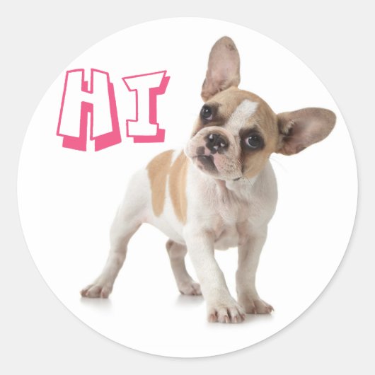 Helllo Hi French Bulldog Puppy Dog Sticker / Seal (Voorkant)