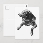 Hello from Evergreen Corners Briefkaart (Voorkant / Achterkant)