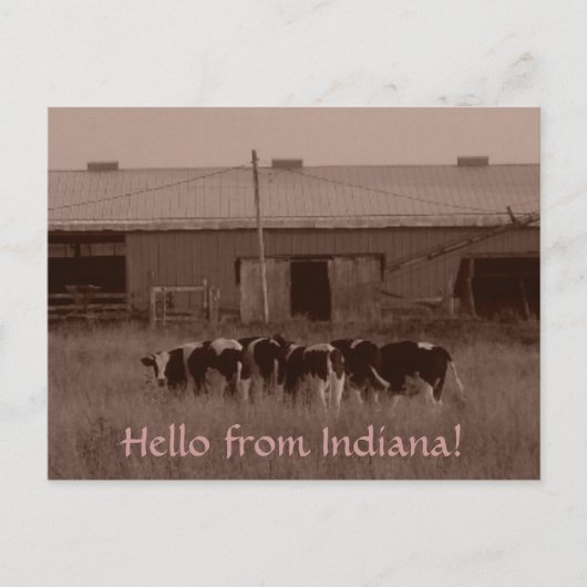 Hello from Indiana! Briefkaart (Voorkant)