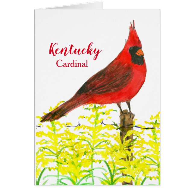 Hello From Kentucky Cardinal State Bird Blank (Voorkant)