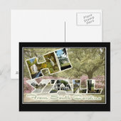 Hello From South Carolina Vintage Travel Postcard Briefkaart (Voorkant / Achterkant)