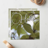 Hello-geboorte heet u van harte welkom notitiekaartje (Voorkant / Achterkant in situ)