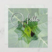 Hello-geboorte heet u van harte welkom notitiekaartje (Voorkant / Achterkant)