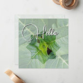 Hello-geboorte heet u van harte welkom notitiekaartje (Voorkant / Achterkant in situ)