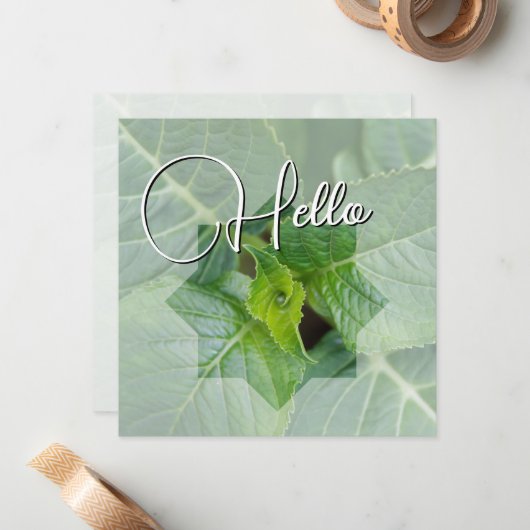 Hello-geboorte heet u van harte welkom notitiekaartje (Voorkant / Achterkant in situ)