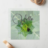 Hello-geboorte heet u van harte welkom notitiekaartje (Voorkant / Achterkant in situ)