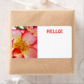 HELLO Naambadges Felgekleurde Congressen Etiket (Insitu)