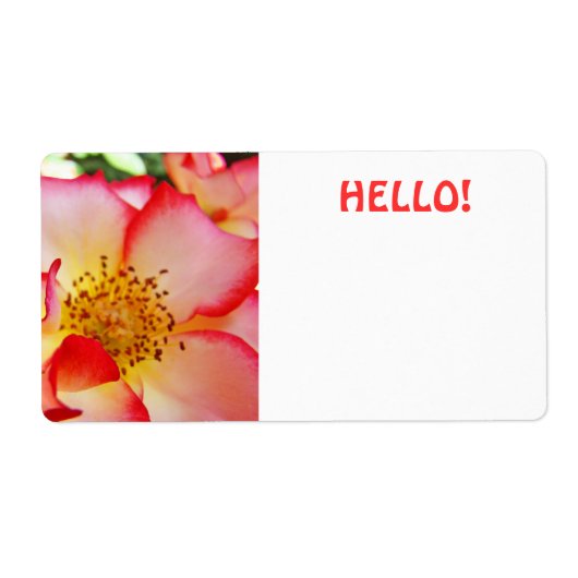 HELLO Naambadges Felgekleurde Congressen Etiket (Voorkant)