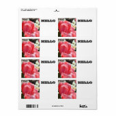HELLO Naamlabels Roze Tulp Bloemen Etiket (Full Sheet)