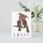 Hello Pit Bull Puppy Dog Blank Postcard Briefkaart (Staand voorkant)