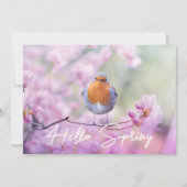 "Hello Spring" Spring Flowering Tree & Robin Bird Feestdagenkaart (Voorkant)