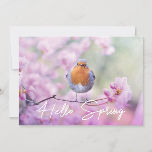 "Hello Spring" Spring Flowering Tree & Robin Bird Feestdagenkaart (Voorkant)
