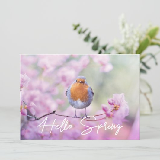 "Hello Spring" Spring Flowering Tree & Robin Bird Feestdagenkaart (Staand voorkant)