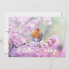 "Hello Spring" Spring Flowering Tree & Robin Bird Feestdagenkaart