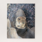 Hello There-Giant Tortoise Legpuzzel (Verticaal)