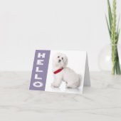 Hello White Maltese Puppy Dog Blank Note Card Kaart (Voorkant)