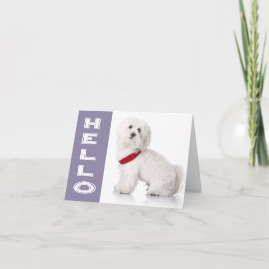 Hello White Maltese Puppy Dog Blank Note Card Kaart (Voorkant)