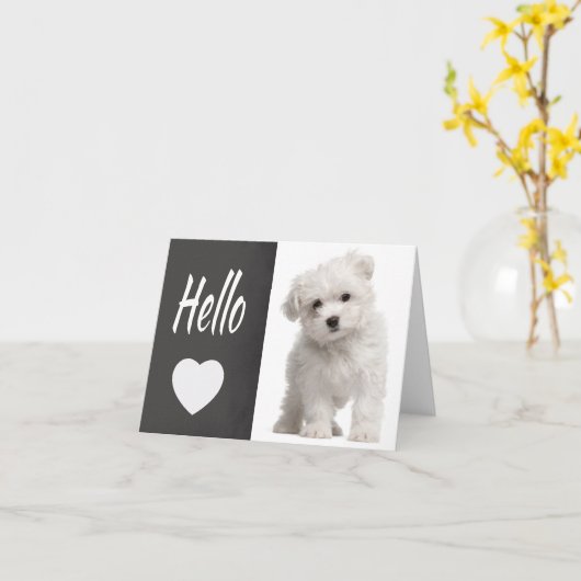 Hello White Maltese Puppy Dog Chalkboard Note Card Kaart (Gele Bloem)