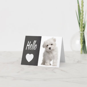 Hello White Maltese Puppy Dog Chalkboard Note Card Kaart