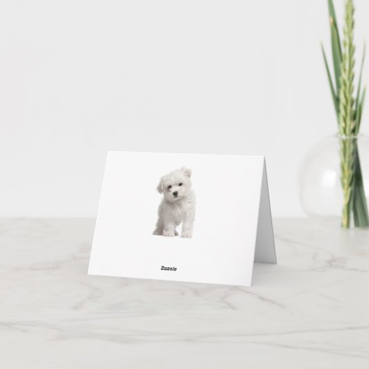 Hello White Maltese Puppy Dog Chalkboard Note Card Kaart (Achterkant)