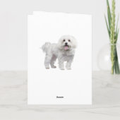 Hello White Maltese Puppy Dog Thinking Of You Kaart (Achterkant)