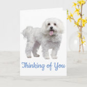 Hello White Maltese Puppy Dog Thinking Of You Kaart (Gele Bloem)
