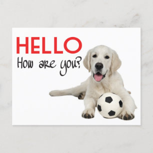Hello Yellow Labrador Retriever Post Card Briefkaart