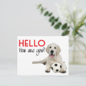 Hello Yellow Labrador Retriever Post Card Briefkaart (Staand voorkant)