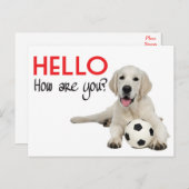 Hello Yellow Labrador Retriever Post Card Briefkaart (Voorkant / Achterkant)