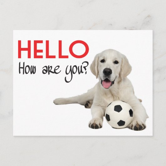 Hello Yellow Labrador Retriever Post Card Briefkaart (Voorkant)