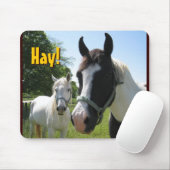 hellovrienden, Hay. Muismat (Met muis)