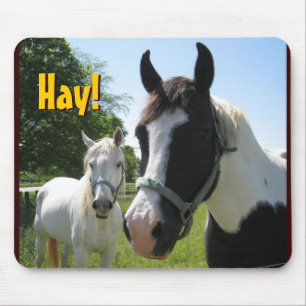 hellovrienden, Hay. Muismat