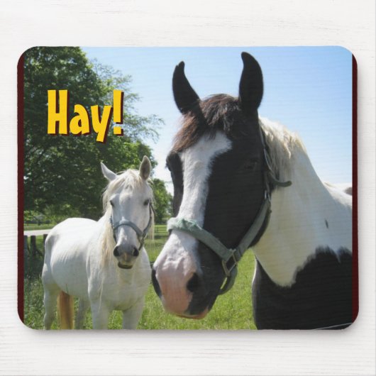 hellovrienden, Hay. Muismat (Voorkant)
