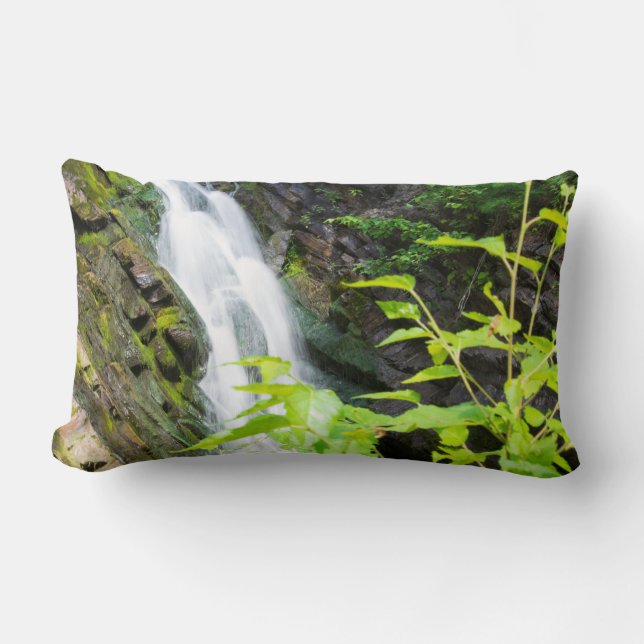 Hell's Gate Canyon-waterval Kussen (Voorkant)