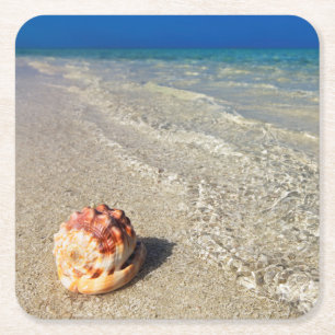 Helm Shell in Tropische lagune  Cassis Rufa Kartonnen Onderzetters