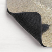 Helm Shell in Tropische lagune| Cassis Rufa Muismat (Hoek)