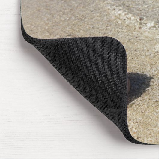 Helm Shell in Tropische lagune| Cassis Rufa Muismat (Hoek)