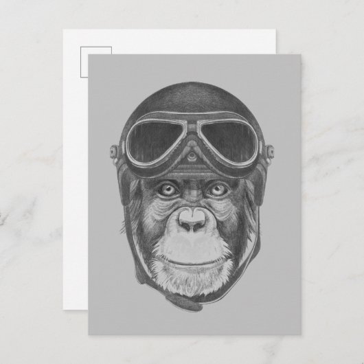  Helmet Chimpansee Briefkaart (Voorkant / Achterkant)