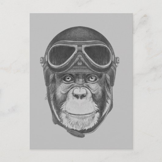 Helmet Chimpansee Briefkaart (Voorkant)