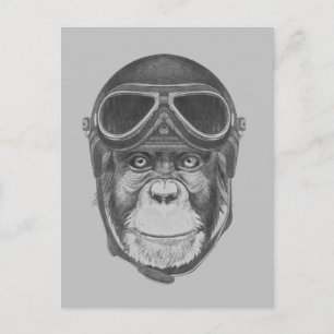 Helmet Chimpansee Briefkaart