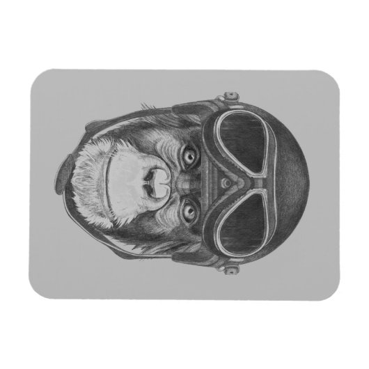  Helmet Chimpansee Magneet (Horizontaal)