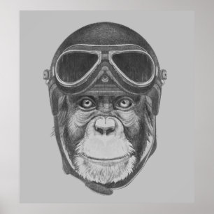 Helmet Chimpansee Poster
