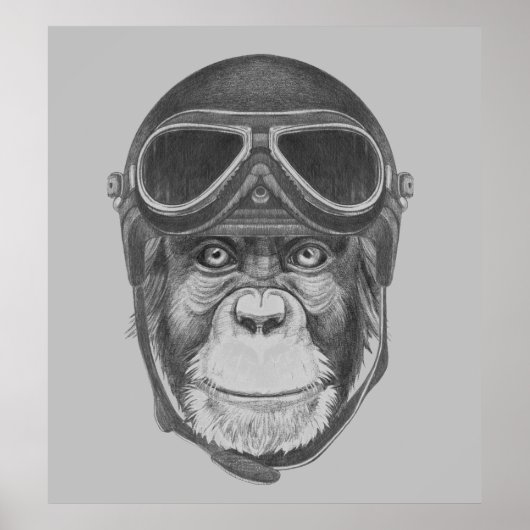 Helmet Chimpansee Poster (Voorkant)